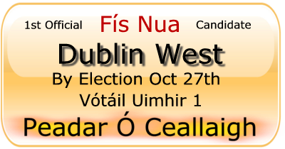 Votáil Peadar Ó Ceallaigh. Dublin West By Election Oct 27 2011