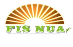 Fís Nua - proposed new logo